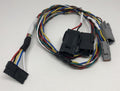 PTSSAPVV2 (Black Panel)